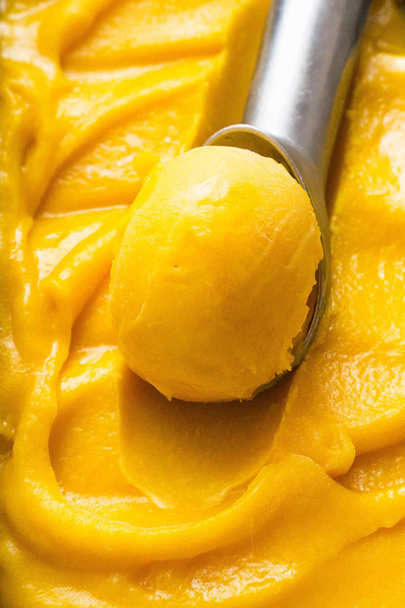 Mango Sorbet | Foodtasia