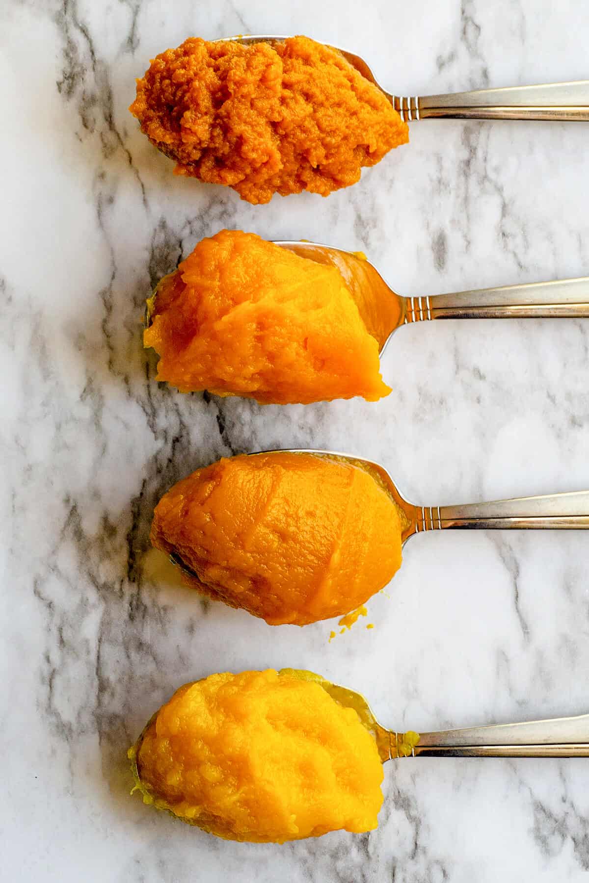 Pumpkin Puree vs Canned Pumpkin - The Pumpkin Pie Challenge | Foodtasia