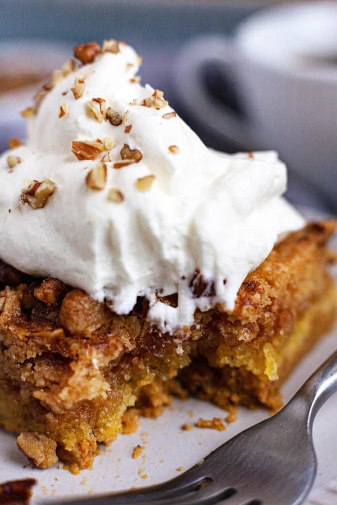 The BEST pumpkin crunch cake recipe you'll find! The perfect pumpkin fall dessert that takes minutes to put together! #pumpkin #crunch #cake #easy #quick #recipe #fall #dessert #thanksgiving #mix #video #best