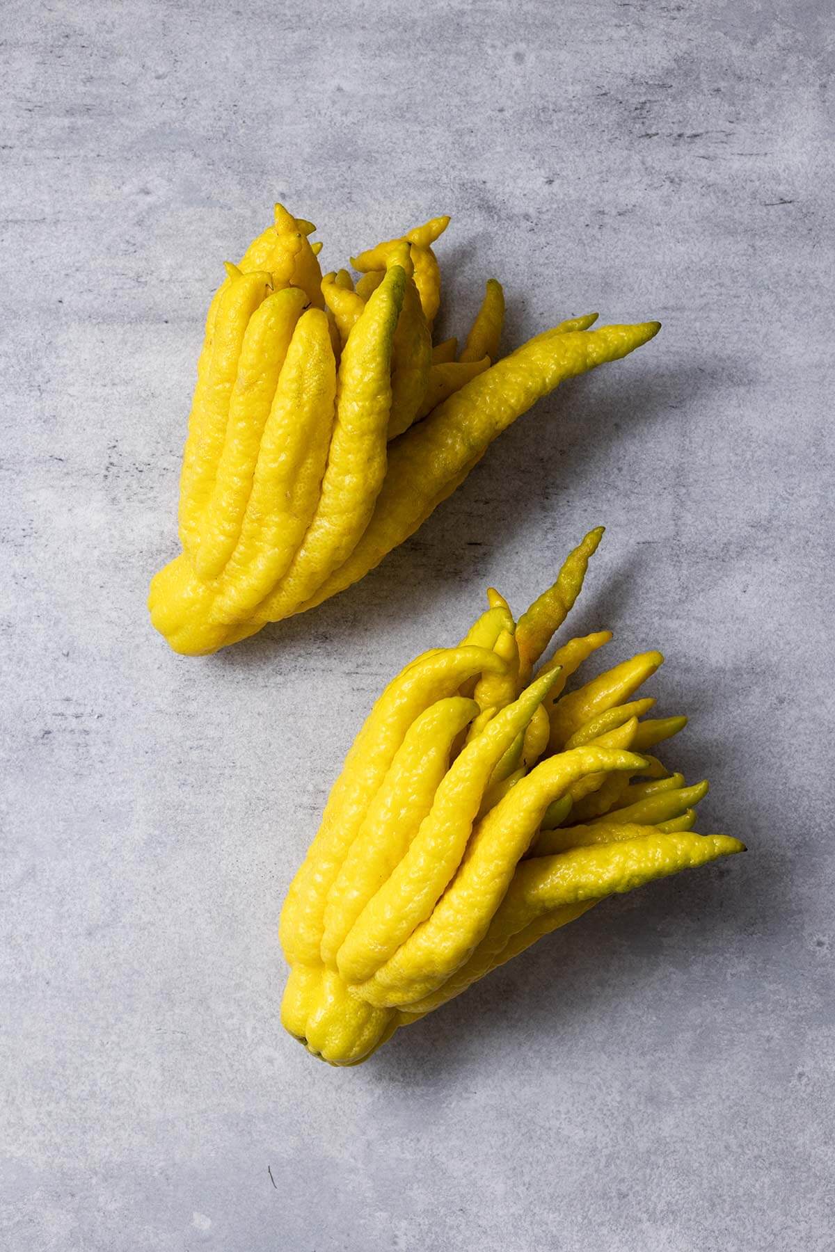 a photo of a buddha's hand citron fruit