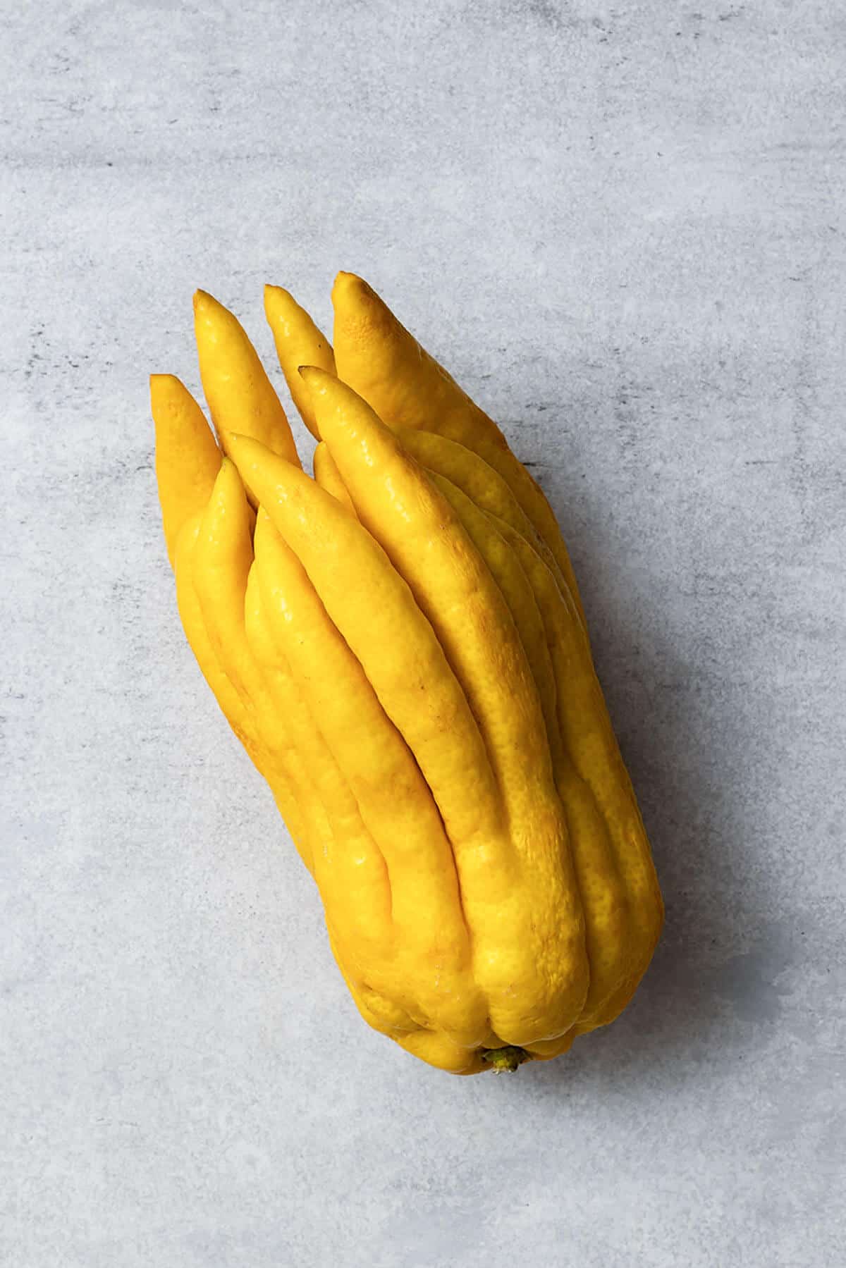 a photo of a buddha's hand citron fruit with closed fingers