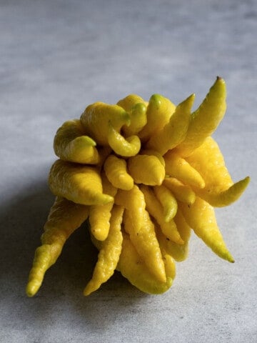 a photo of a buddha's hand citron fruit